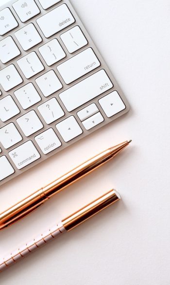 redacteur-web-pays-basque